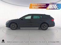 Auto Skoda Octavia wagon 2.0 tdi evo executive 115cv dsg usata in vendita presso concessionaria Fratelli Giacomel a 19.400 &euro; - foto numero 3